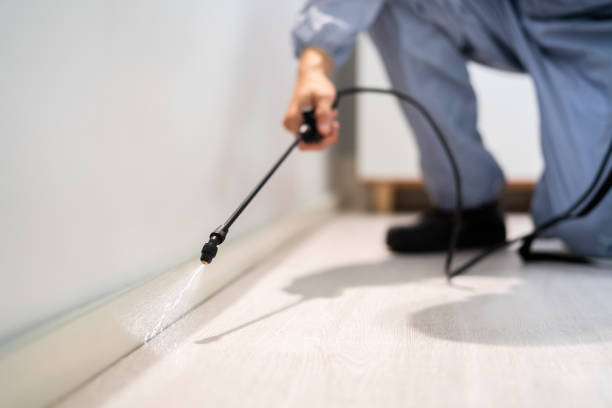 Licensed Fumigation Services service in Beckham County County, OK - Nex Pest Control